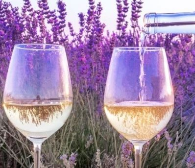 Shared Provence Wine Tour Half Day Trip from Aix Morning